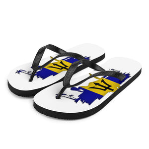 Flip-Flops